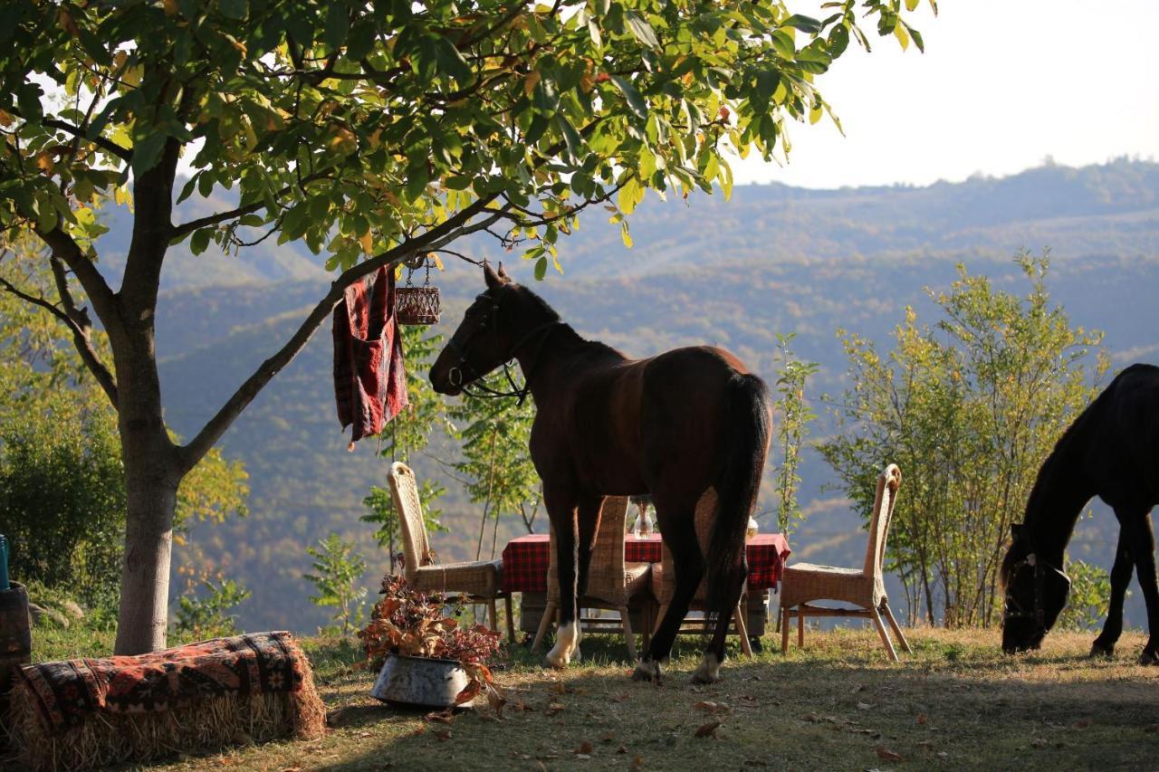 Lost Ridge Inn, Brewery & Ranch Sighnaghi Ngoại thất bức ảnh