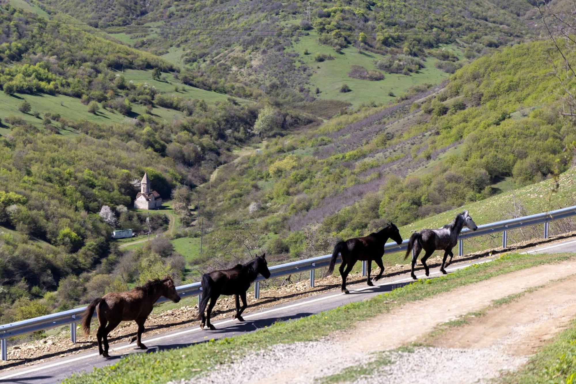 Lost Ridge Inn, Brewery & Ranch Sighnaghi Ngoại thất bức ảnh