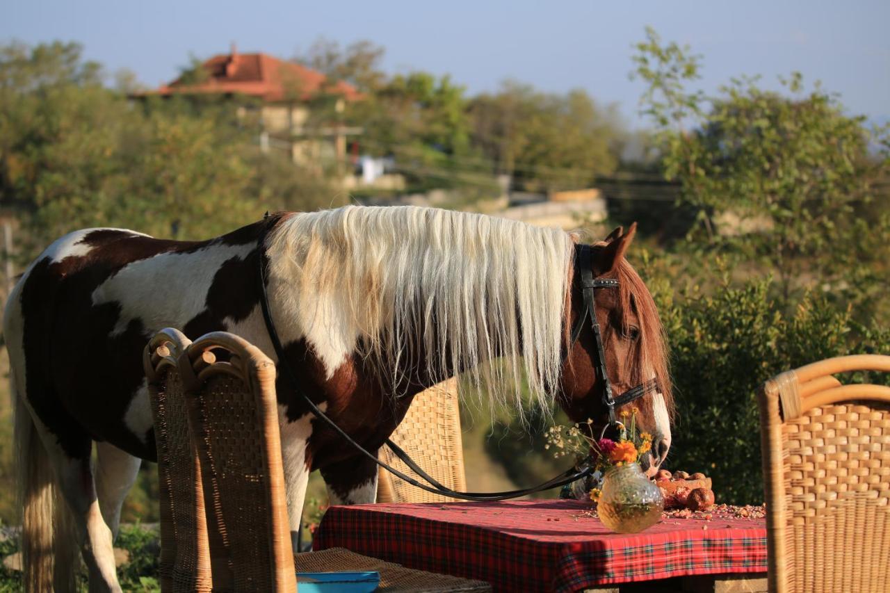 Lost Ridge Inn, Brewery & Ranch Sighnaghi Ngoại thất bức ảnh